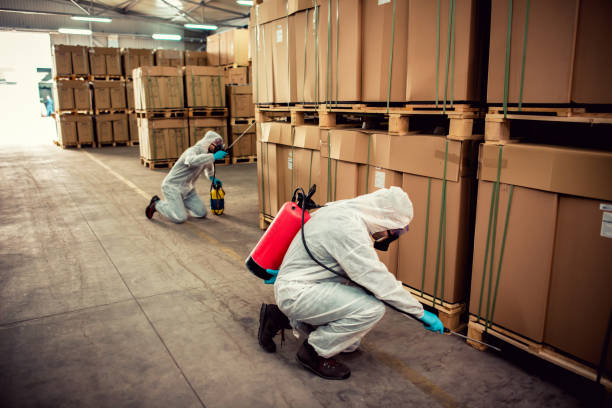 Best Local Pest Control Services  in Huntington, VA