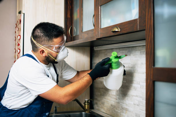 Best Insect Control  in Huntington, VA