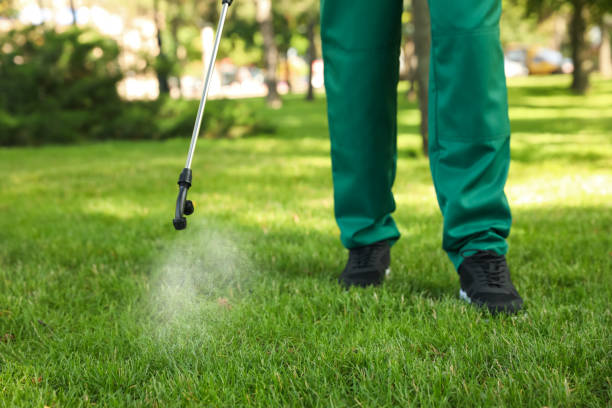 Best Pest Control Near Me  in Huntington, VA