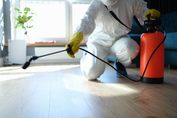 Best Affordable Pest Control Services  in Huntington, VA