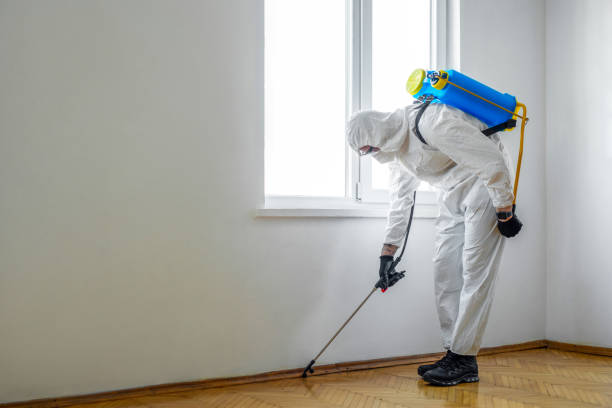 Best Best Pest Control Companies  in Huntington, VA