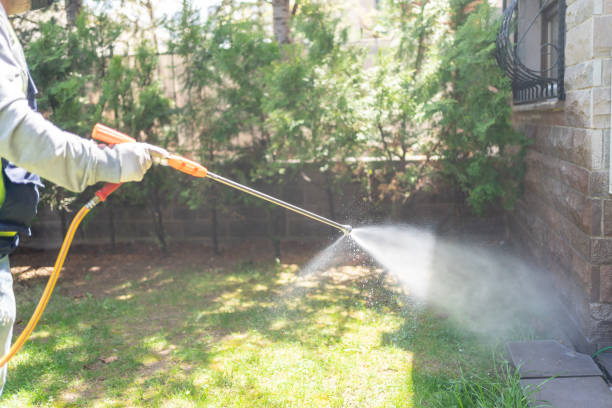 Best Wildlife Control Services  in Huntington, VA