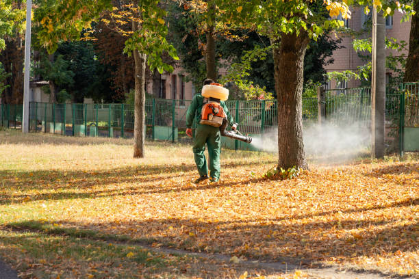 Best Spider Control Near Me  in Huntington, VA