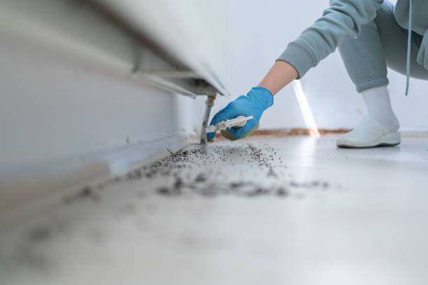 Best Commercial Pest Control Services  in Huntington, VA
